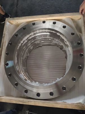 Φλάντζα BS10 T/E T/D καισίου BS4504 PN6 PN40 1/2 ίντσα στη φλάντζα BL 48 ίντσας WN ΈΤΣΙ PL